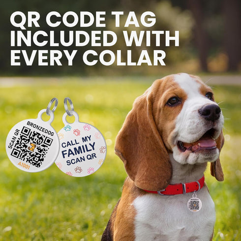 Rolled Leather Dog Collar, Soft Round Collars with ID Tag for Small Medium Large Dogs (11-14 inch, Rose & Silver Buckle)