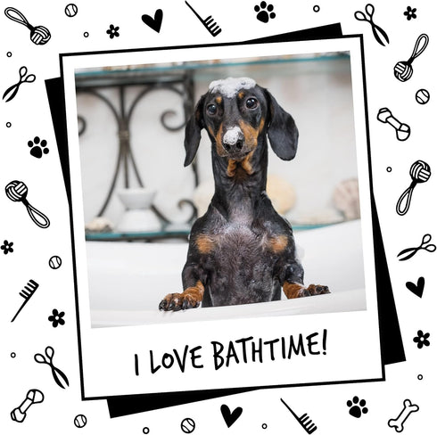 Dog Shampoo Luxury 2 in 1 - Papaya & Coconut Grooming Shampoo for Smelly Dogs, Vegan Pet Shampoo & Conditioner