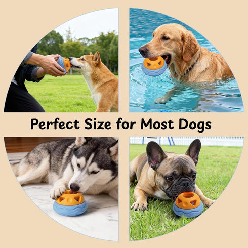 Set, Frozen Nocciola Enrichment Dog Licking Toy Treat Molds & Interactive Feeder for Aggressive Chewers, Freezable