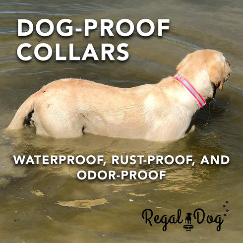 Regal Dog Products Medium Pink Heavy Duty Reflective Dog Collar with Durable Metal Buckle, Adjustable & Chew Proof