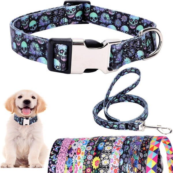 Dog Collar and Leash Set for Daily Outdoor Walking, Running, Training, Designed for Large Dogs & Cats (L)