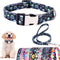 Dog Collar and Leash Set for Daily Outdoor Walking, Running, Training, Designed for Large Dogs & Cats (L)