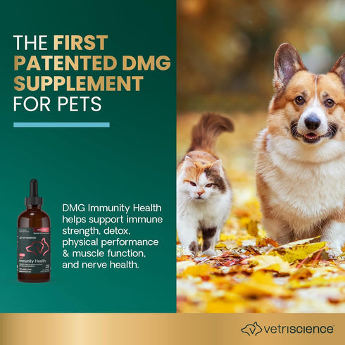 VETRISCIENCE DMG Immunity Health Easy-Dose Liquid, 114 ml | Hypoallergenic Immune Support Supplement for Dogs and Cats