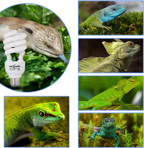 REPTI ZOO 15 W UVA UVB 5.0 Reptile Lights, Energy Saving Heat Lamp, Spiral Compact Bulb
