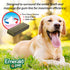 Emerald Pet Fresh Smileezz Grain Free Dog Dental Treats for Medium Breeds, Minty Fresh Breath, 12.5 Oz