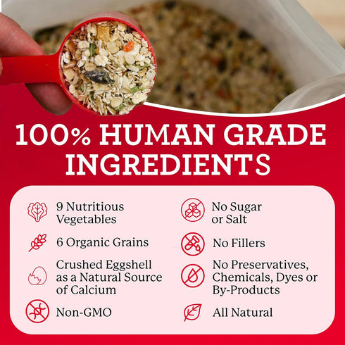 Dr. Harvey's Canine Health Miracle Dog Food, Human Grade Dehydrated Base Mix, Organic Whole Grains, 6.5 oz