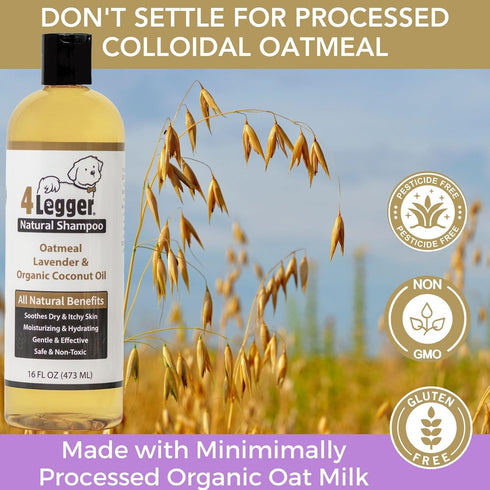4Legger 16 oz All Natural Organic Oatmeal Dog Shampoo for Itchy Skin with Aloe, Coconut & Lavender Essential Oil