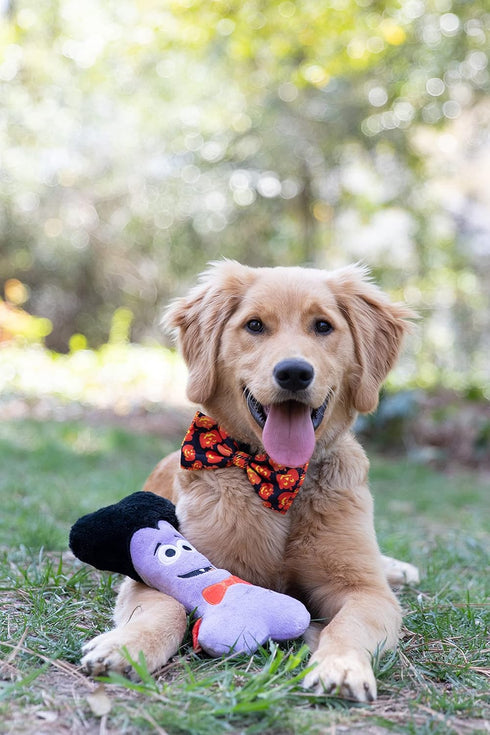 Huxley & Kent Bow Tie for Pets, Plaid-O-Lantern (Large), Halloween Velcro Bow Tie Collar Attachment for Dogs & Cats