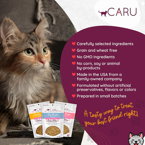 CARU Soft ‘n Tasty Baked Bites, Salmon Bites Cat Treats - Flavorful All-Natural Treats, 3 oz