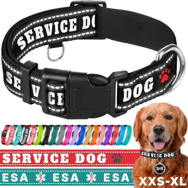 TECEUM Reflective Pet Collar, Extra Soft Padding, Basic Nylon Dog Collar with Quick Release for All Sizes