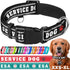 TECEUM Reflective Pet Collar, Extra Soft Padding, Basic Nylon Dog Collar with Quick Release for All Sizes