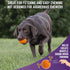 Chew King 3 Inch Bacon Flavor Rubber Balls, 2 Pack