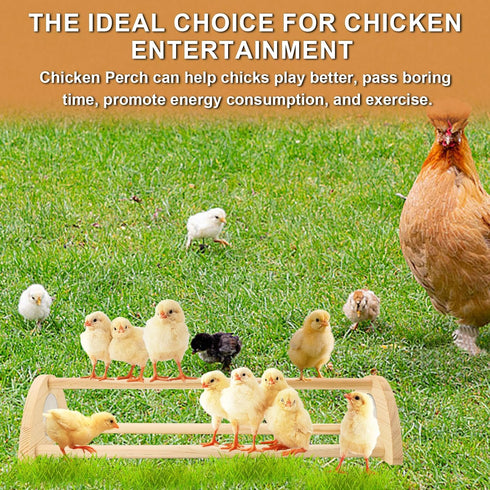 Yasdyri Chicken Perch with Mirror Roosting Bar for Baby Chicks Chick Jungle Gym Roosting Bar Strong Wooden Baby Chick