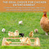 Yasdyri Chicken Perch with Mirror Roosting Bar for Baby Chicks Chick Jungle Gym Roosting Bar Strong Wooden Baby Chick