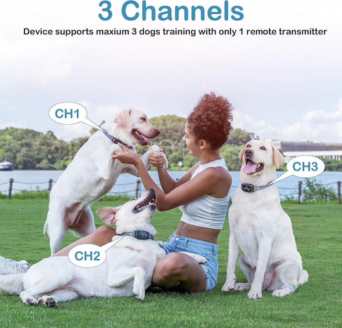Large Dog Training Collar with Remote, 2500FT Range, Rechargeable IP67 Waterproof E-Collar, 4 Training Modes Beep