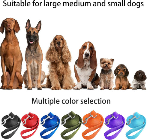 10ft Mint Blue Dog Leash, Long Line Training Leash for Large, Medium and Small Dogs, Great for Parks and Fetch