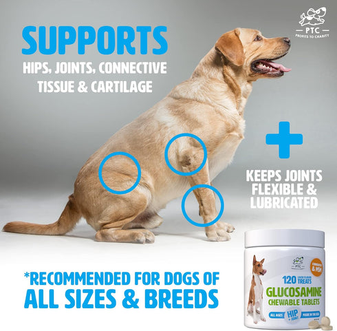 Glucosamine for Dogs with Chondroitin and MSM - 120 Chewable Tablet Treats for Dog Mobility Support and Arthritis Pain
