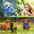6 Pack Dog Chew Squeaky Toys for Puppy Teething 2-8 Months, Soft & Durable Chew Toys for Small and Medium Dogs