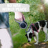 26 FT Retractable Dog Leash - Heavy Duty for Dogs up to 110lbs, One-Handed Brake, Non-Slip Handle