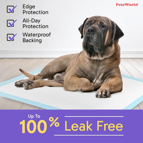 36" 36", 5-Layer (36x36, 25 Count) PETSWORLD Giant Dog Potty Pads, Odor-Eliminating, x Ultra Absorbent Leak-Proof