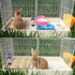 Rabbits,11.0"x8.3" Toy(4 PINVNBY Straw Mats for Natural Bunny Grass Mat,Handwoven Rabbit Hay Mat Small Animal Bedding