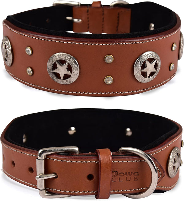 Genuine Leather Dog Collar | Saddle Grade, Full Grain, Heavy Duty for Medium, Large, XL Breeds (L, Tan)