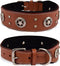 Genuine Leather Dog Collar | Saddle Grade, Full Grain, Heavy Duty for Medium, Large, XL Breeds (L, Tan)