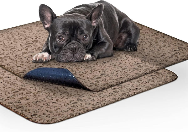 Paw Inspired Washable Pee Pads for Dogs | Reusable Puppy Pads |