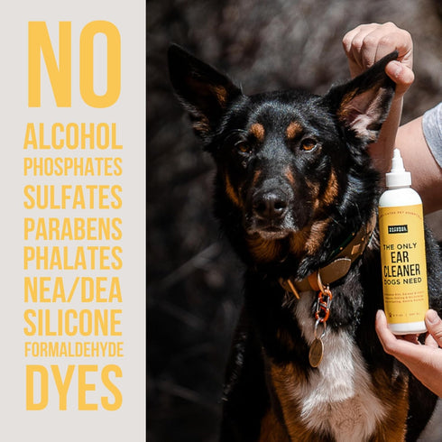 Natural Rapport Dog Ear Cleaning Drops, 8 Oz, Solution for Cleaning Wax, Dirt, and Contaminants