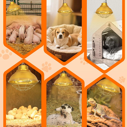 Abustle pig Bulb, 600W 2-Mode (350, Chicken Coop Heater with Carbon Fiber Heat Lamp for Chickens Brooder, Chicken