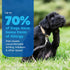 Vetnique Dermabliss Anti Itch Spray for Dogs & Cats, Hydrocortisone for Allergies, Fragrance Free, 4oz