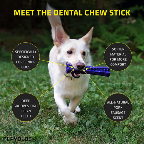 Playology Silver Dental Chew Stick Dog Toy for Medium Senior Dogs (15-35lbs) - Engaging All-Natural Pork Sausage Scented Dog Chew Toy - Non-Toxic Materials and Moderate Chewing for Older Teeth