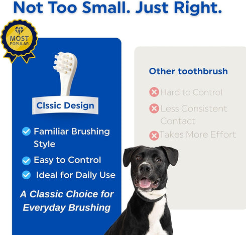 15 3EA MIND UP Dog Toothbrush with Angled Handle, Flat Head Design for Easy Brushing, Pet Toothbrush for Daily Dog