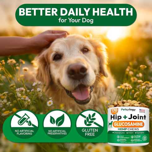 170 Hemp Hip and Joint Supplement for Dogs - Glucosamine for Dogs - Mobility Support Chews - Advanced Joint Pain Relief