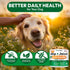 170 Hemp Hip and Joint Supplement for Dogs - Glucosamine for Dogs - Mobility Support Chews - Advanced Joint Pain Relief