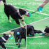 Interactive Dog Toys Tug of War, Mentally Stimulating Toys for Dogs, Puzzle Treat Food Dispensing Ball Toy