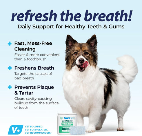 Vetnique Dentabliss - Dog Teeth Cleaning Finger Mitt Dental Wipe - Dog Plaque and Tartar Prevention with Brushing Beads - Convenient Dog Teeth Wipes with Peppermint, Dog Breath Freshener