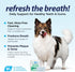 Vetnique Dentabliss - Dog Teeth Cleaning Finger Mitt Dental Wipe - Dog Plaque and Tartar Prevention with Brushing Beads - Convenient Dog Teeth Wipes with Peppermint, Dog Breath Freshener