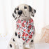 Mile High Life Girl Dog Collars - Cute Bandana Collar, Soft Poly Cotton Fabric for Small Dogs, Flower & Fruit Pattern