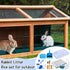 19 Set Pcs Rabbit Starter Kit Small Bunny Litter Box Animal Grooming Kit Water Bottle Bunny Toys Hay Feeder Bowl