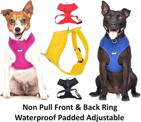 Training Dog Harness (L) - Blue Colour Coded Non-Pull Front and Back D Ring, Padded and Waterproof
