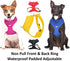Training Dog Harness (L) - Blue Colour Coded Non-Pull Front and Back D Ring, Padded and Waterproof