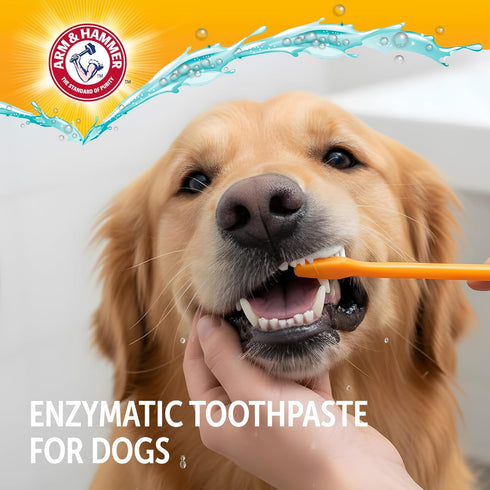 Hammer 6.2 Oz Arm & Complete Care Enzymatic Dog Toothpaste with Baking Soda and Calcium, Fluoride Free Formula