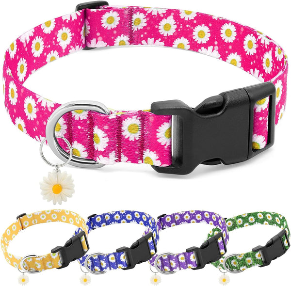 BiPawTi Cute Flower Dog Collar with Daisies Charms, Pretty Floral Collar for Small Dogs, Female Puppy Girls Boys (S,