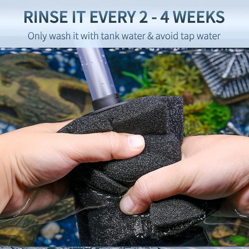 Pawfly Aquarium Large Bio Sponge Filter for Betta Fry Shrimp and Small Fish, Quiet Foam Filter for Fish Tank up to 60