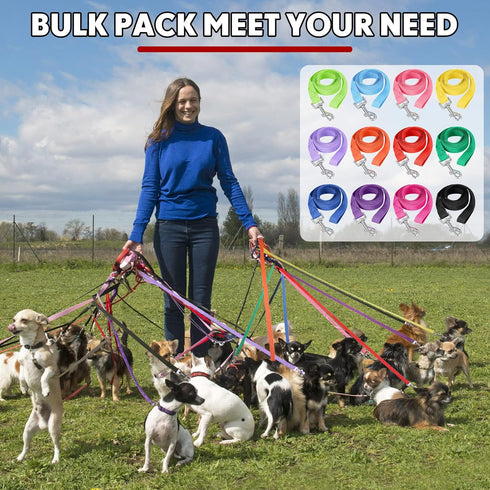 12 Pcs Nylon Dog Leash Bulk, 5ft Dog Training Leash in 12 Colors, Puppy Traction Rope for Small Medium Dogs