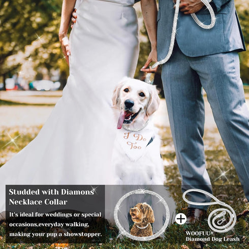 Stylish Diamond Dog Collar, Magnetically Absorbent Clasp, Full Diamond Design for Wedding and Everyday Walking