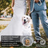 Stylish Diamond Dog Collar, Magnetically Absorbent Clasp, Full Diamond Design for Wedding and Everyday Walking