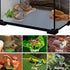 Reptile Substrate Liner, Non-Adhesive Carpet for Terrarium, 17.7x39.4 inch, Bearded Dragon Tank Accessories