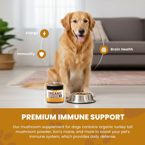 Peak Pets (90g) Immune Mushroom Supplement Powder for Dogs Organic Mushroom Complex with Turkey Tail and Lions Mane